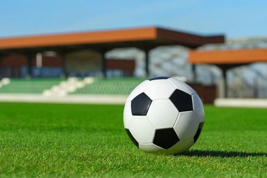 《黑镜》第7季曝预告 奥卡菲娜将出演2024-09-23 《头奖》首曝预告 奥卡菲娜、赵喜娜捍卫巨额奖金2024-07-03 热门新闻 食物和爱都不可辜负！